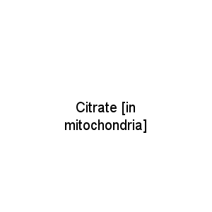 Citrate [in mitochondria]